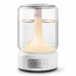 NeoClassic 650 Humidifier
